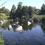False Creek Duck Pond photo # 9