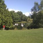 False Creek Duck Pond photo # 4